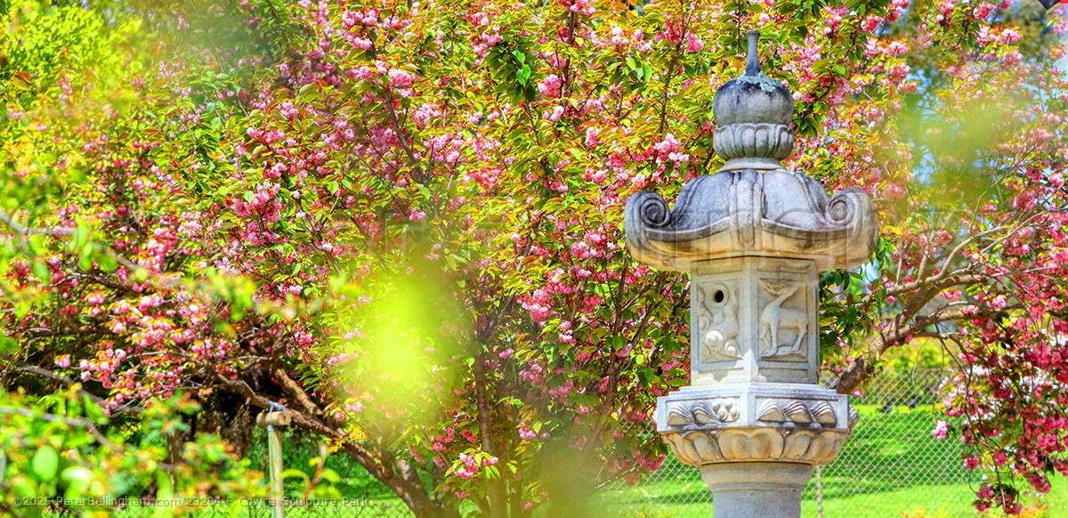 Peter Bellingham Photography Cowra Sculpture Park